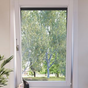 Raam inzethor flex 3
